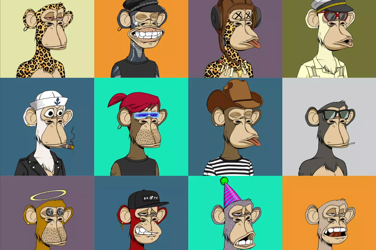 Collection of images portraying the "Bored Ape Yacht Club"