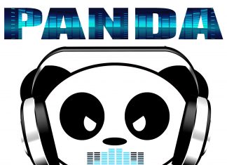 PANDA logo